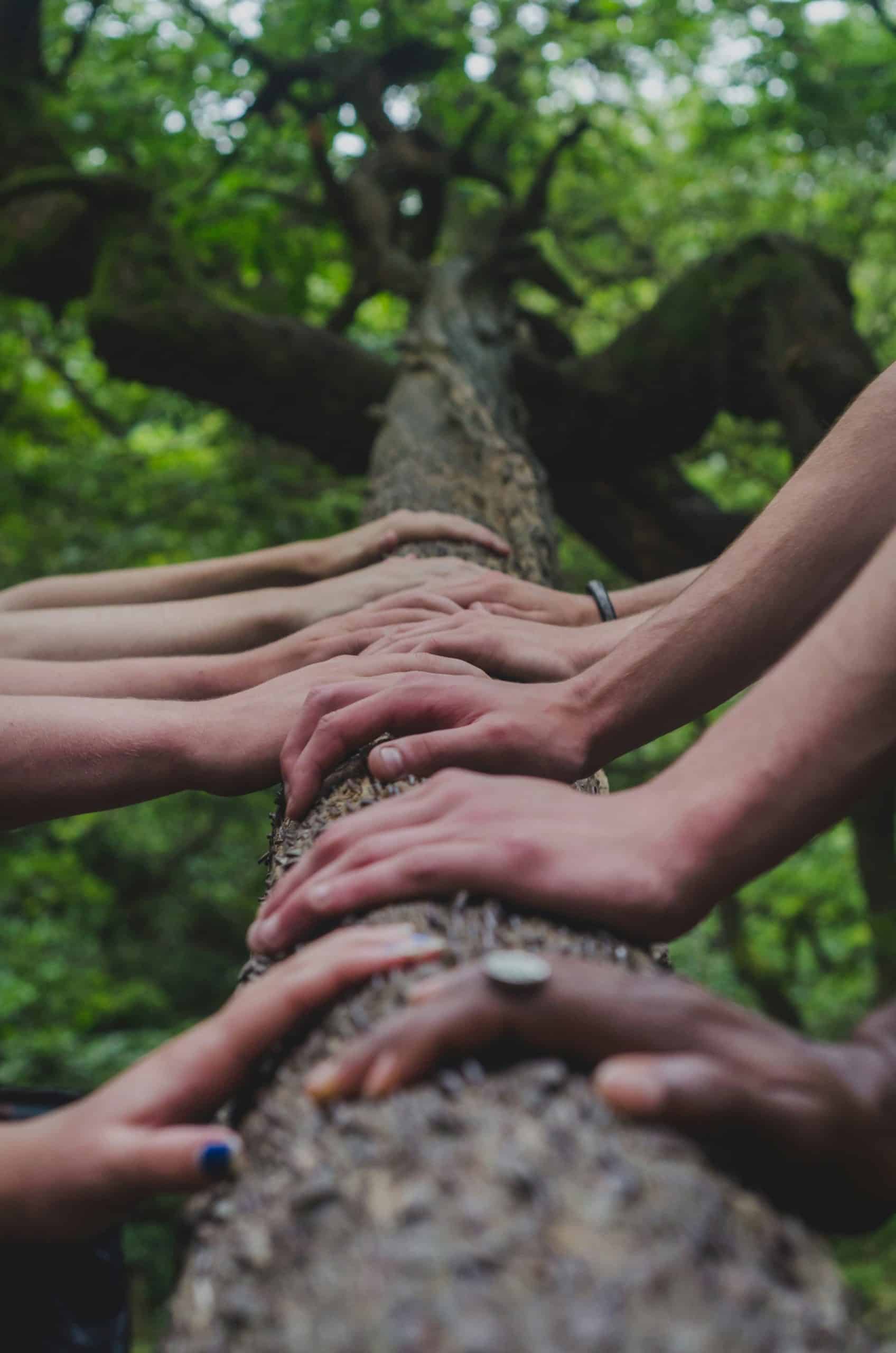 Customer Delight: Implementing a Winning Customer Support Strategy