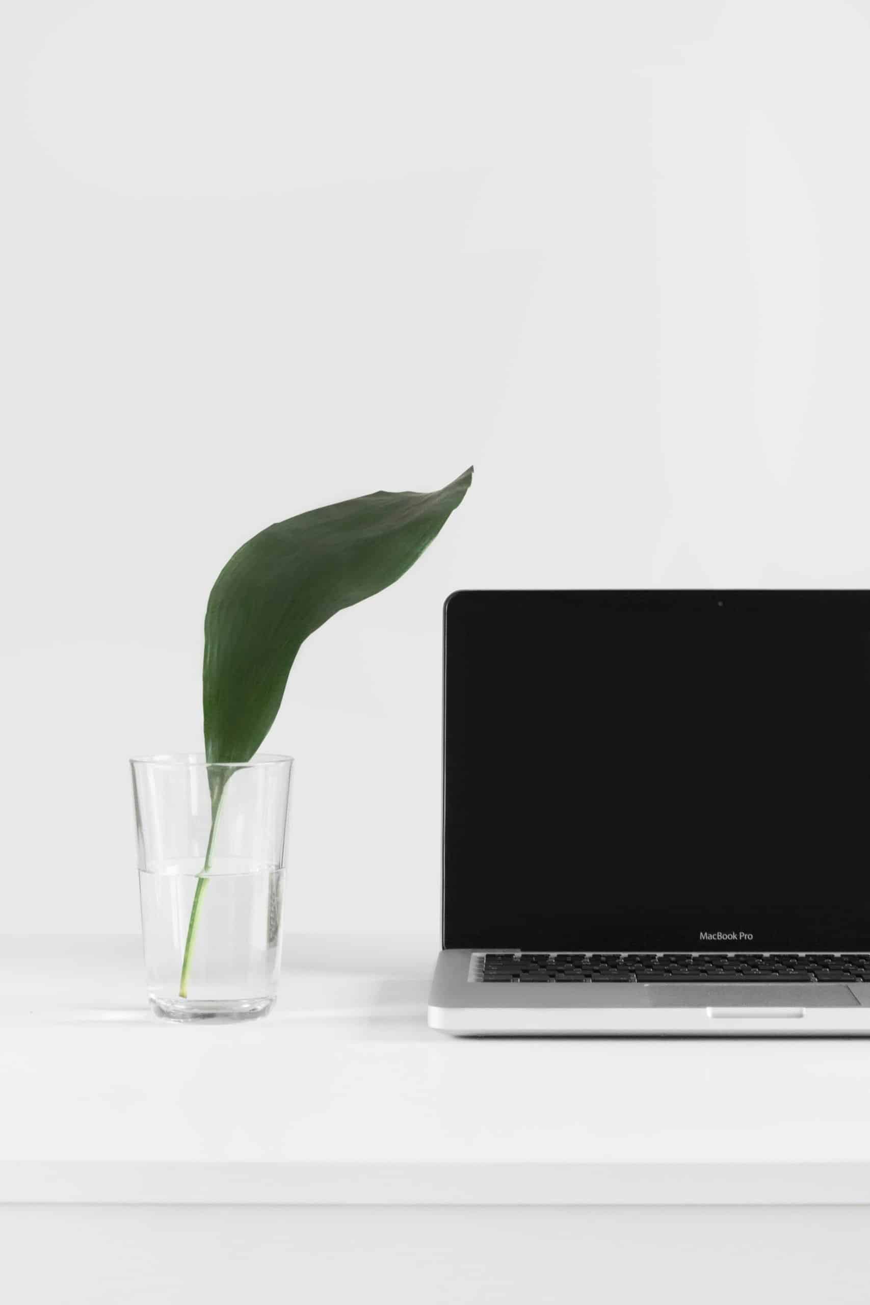 Accelerate Your Growth: Get the Best Digital Marketing Consultant in Dubai